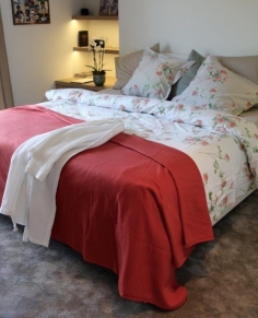 COUVERTURE POLAIRE 350GR Rouge. 2 PERS.220 X 240 IRIS 2