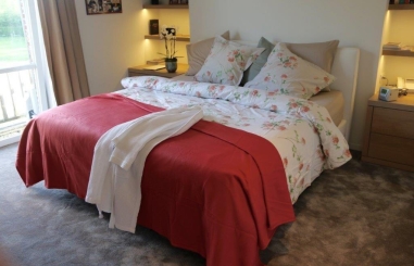 COUVERTURE POLAIRE 350GR Rouge. 2 PERS.220 X...