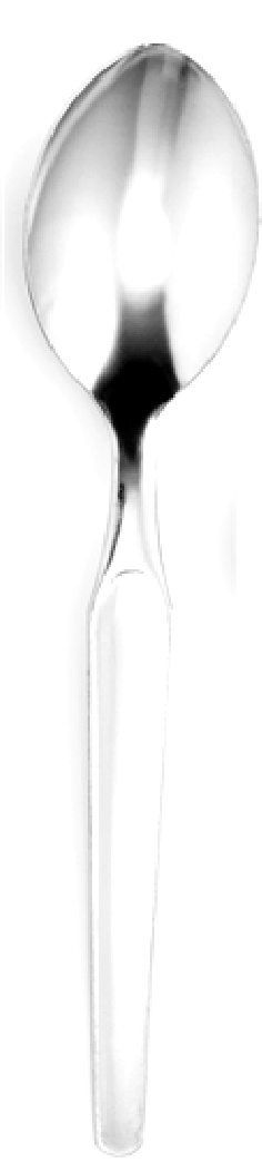 CUILLERE SOUPE  FJORD - COUZON -  ACIER INOX 18/0 - 2  MM -FINITION STD