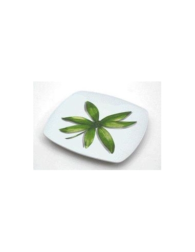 ASSIETTE DESSERT CARRE BAMBOO/TROPICAL 16 CM  - "NE PAS TOUCHER RESERVÉ CLIENT"
