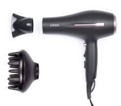 SECHE CHEVEUX IONIQUE D174