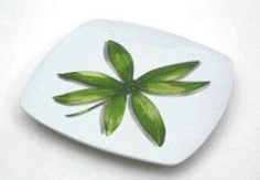 ASSIETTE DESSERT CARRE BAMBOO/TROPICAL 16 CM