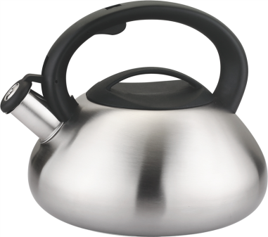 BOUILLOIRE EN ACIER INOX 3 L À SIFFLET IRIS - TOUS FEUX