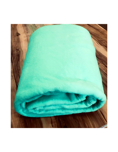 COUVERTURE POLAIRE 350GR tilleul 337C 2 PERS.220 X 240 IRIS