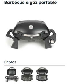 BARBECUE A GAZ  PORTABLE AVEC COUVERCLE