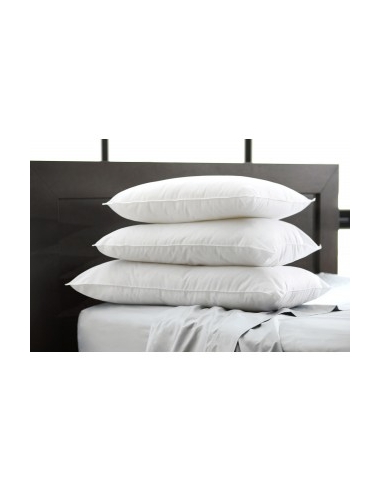 OREILLER SEMI DURABLE  58 X 58 - 600 GR - Made in EU ***ESP***