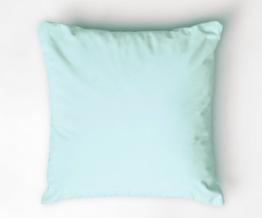 TAIE D'OREILLER PORTE FEUILLE 65 X 65 VERTE RABAT 20 CM