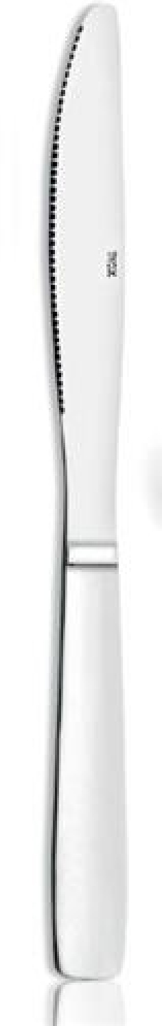 COUTEAU DE TABLE MONOBLOC **JULIA** ACIER INOX 18/0   -...