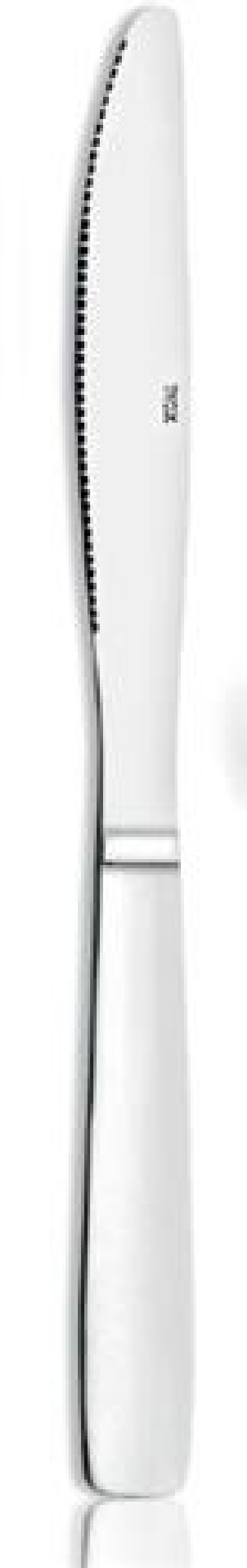 COUTEAU DE TABLE MONOBLOC **JULIA** ACIER INOX...