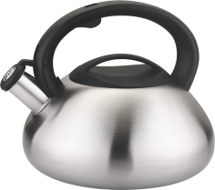 BOUILLOIRE EN ACIER INOX 3 L À SIFFLET IRIS - TOUS FEUX