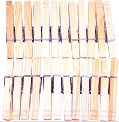 PINCE A LINGE  BOIS   X 24  - 7.2CM