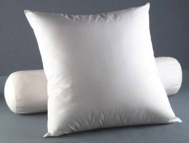 OREILLER BLANC 60X60 - 750G IRIS - DECRET 2000 -164 DU 23/02 **ESP - 2027**