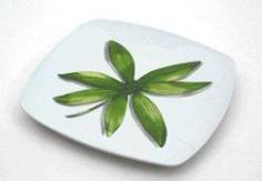 ASSIETTE DESSERT CARRE  BAMBOO 20.5 CM