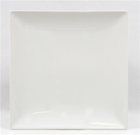 ASSIETTE PLATE ** 24 CM** ELITE