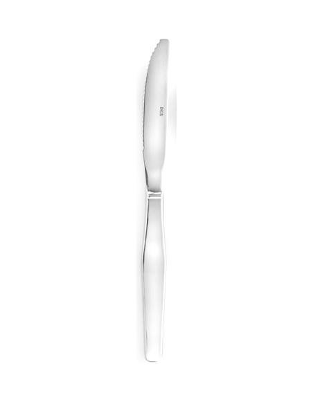 COUTEAU TABLE MONOBLOC  FJORD INOX 18/0  -  2 MM