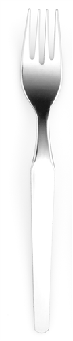 FOURCHETTE  FJORD -  ACIER INOX 18/0 - 2  MM -FINITION STD