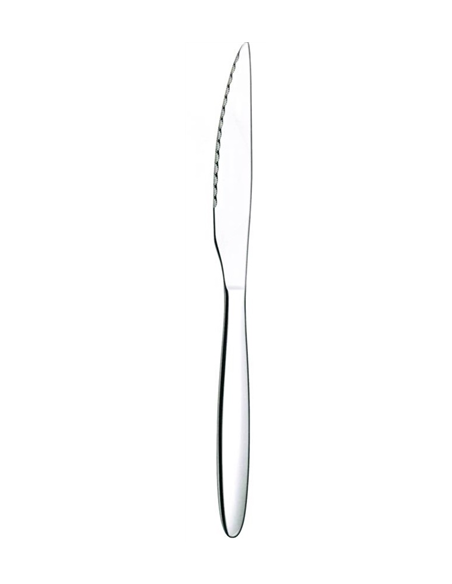 COUTEAU STEAK ACTUAL ACIER INOX 18/0  -  2 MM