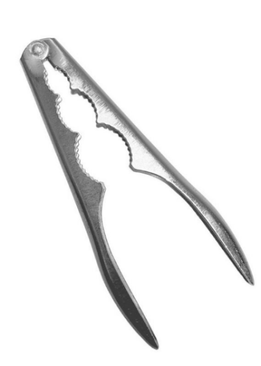 CASSE NOIX 16 X 4 CM - ACIER INOX - PREMIER PRIX