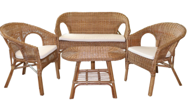 SALON COMPLET  ROTIN DOSSIER - COUSSIN ASSISES INCLUS