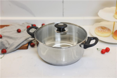 FAITOUT ACIER INOX TOUS FEUX Ø24 CM + COUVERCLE EN VERRE