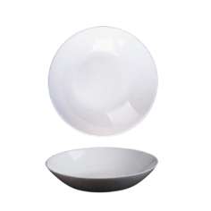 ASSIETTE PLATE LUNA 24CM - BLANCHE - OPAL - VERRE TREMPÉ